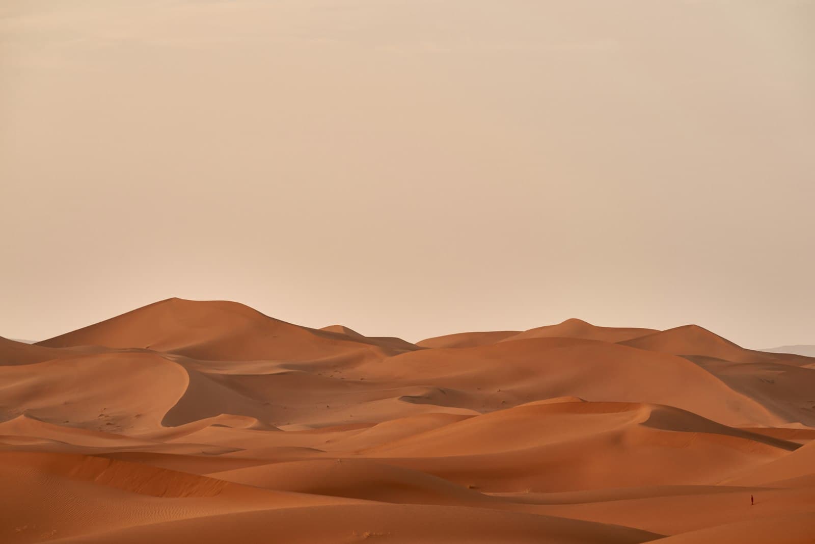 Golden dunes near Jaisalmer